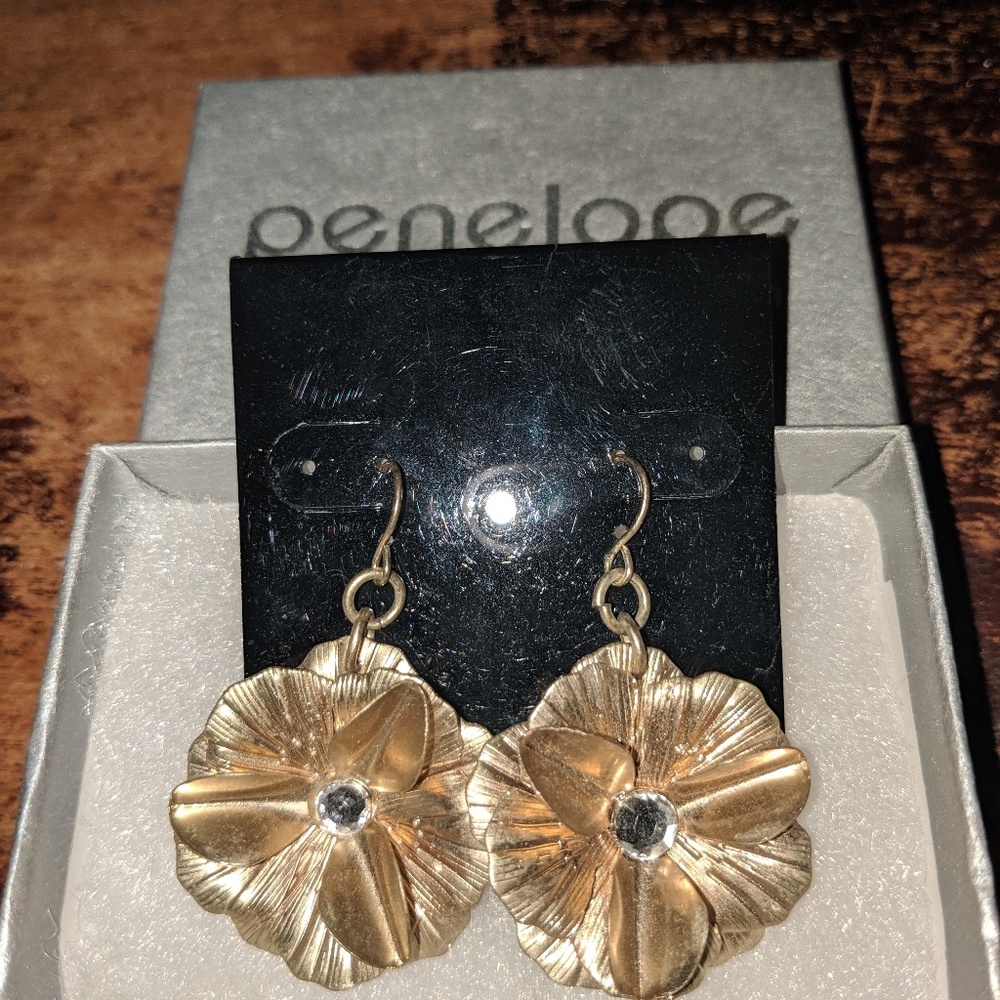 NWOT Drop earrings